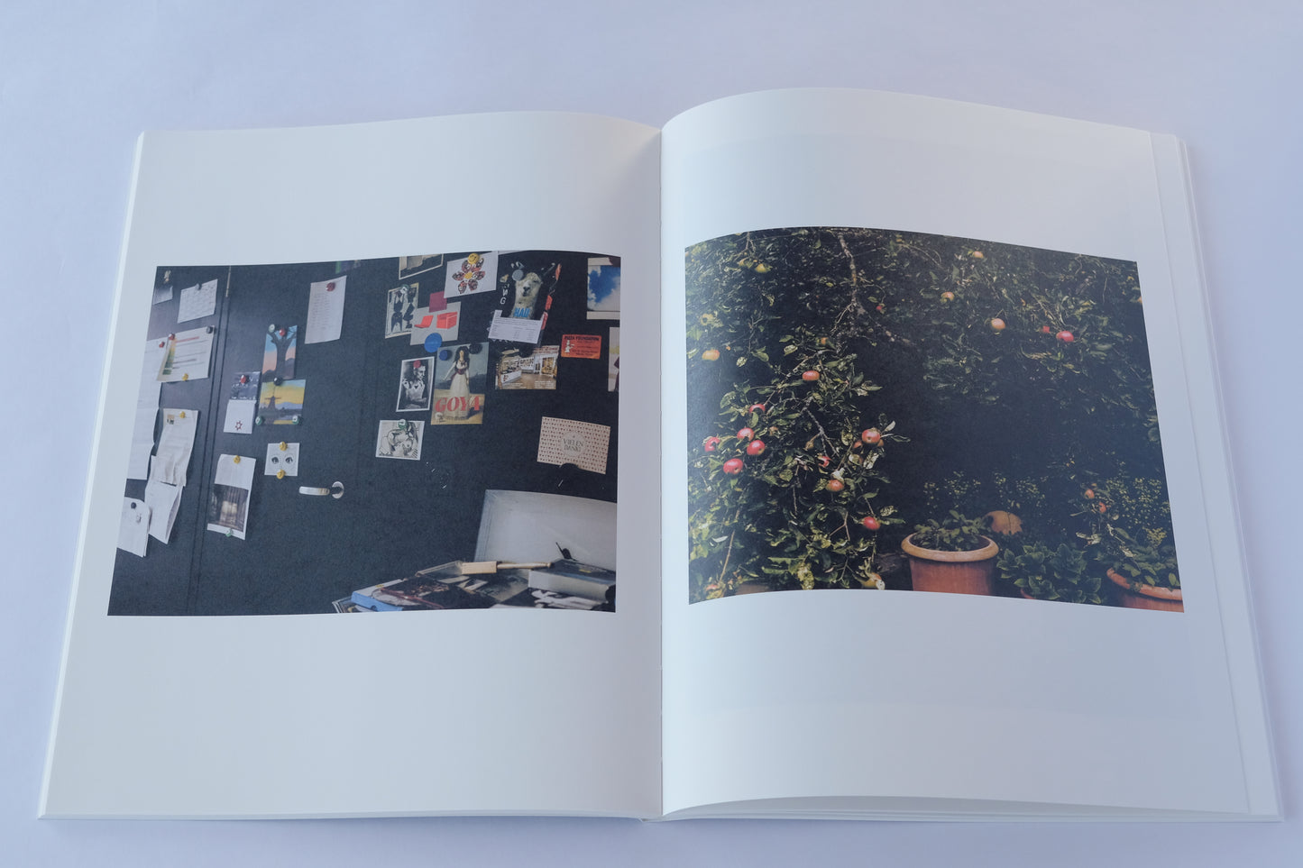 Art Book 『 KOECHLIN HOUSE by Daisuke Hirabayashi 』