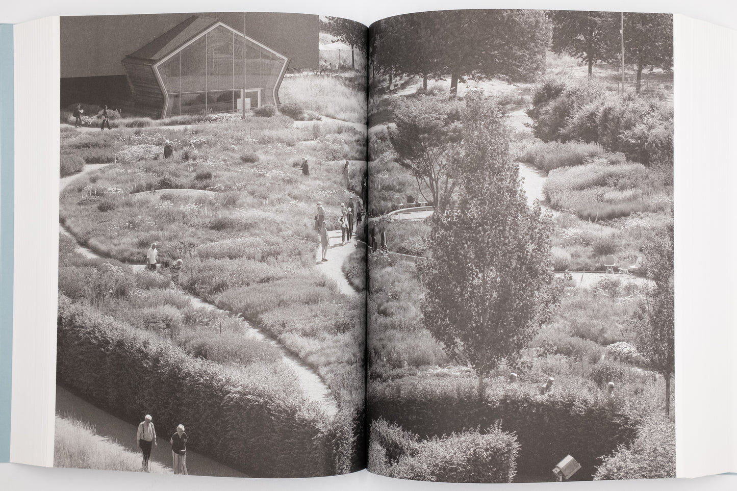 Art Book 『 CHERRY by Aleix Plademunt 』
