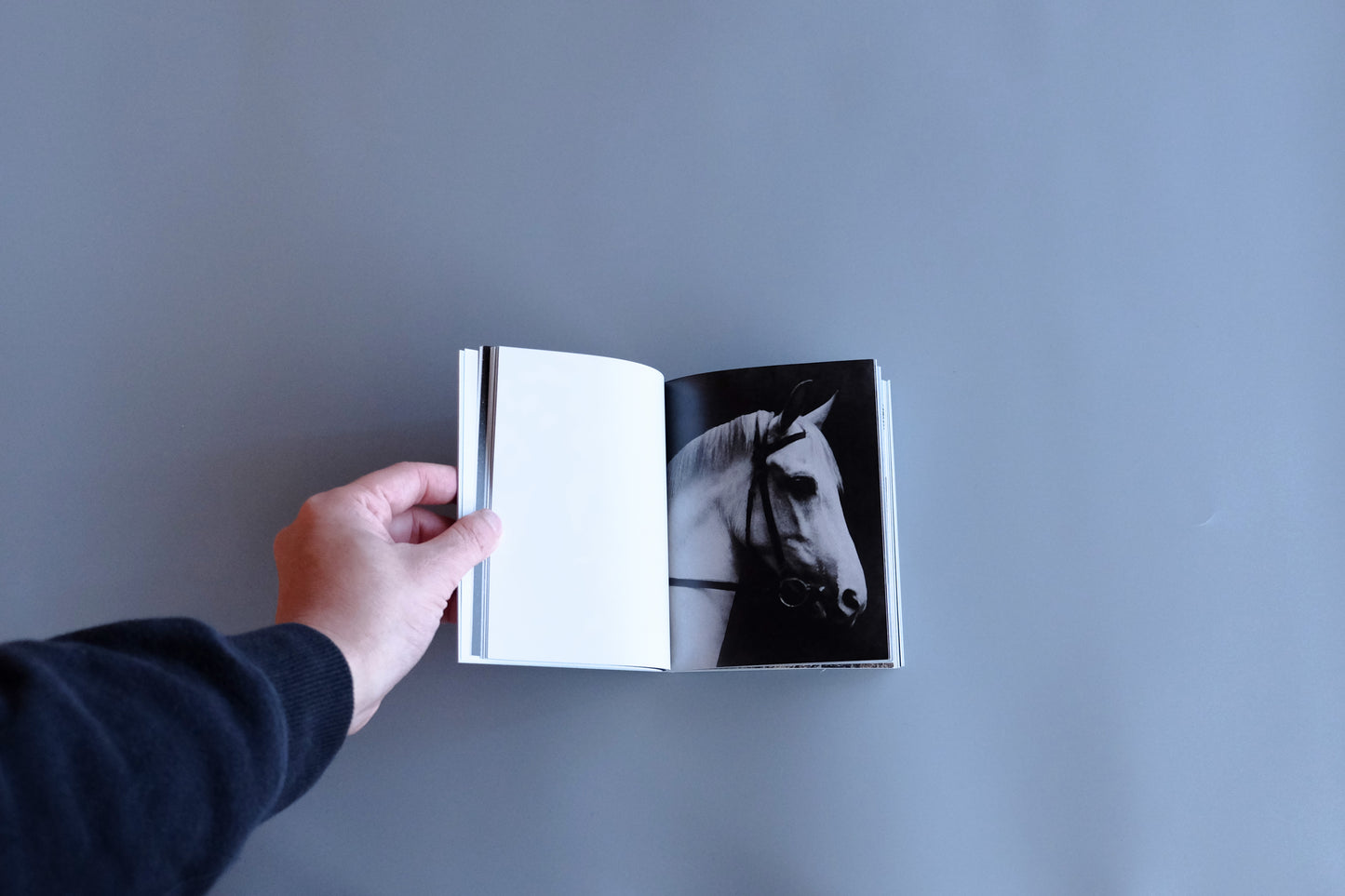 Art Book 『 NOW IS NOW by Nanna Hänninen 』