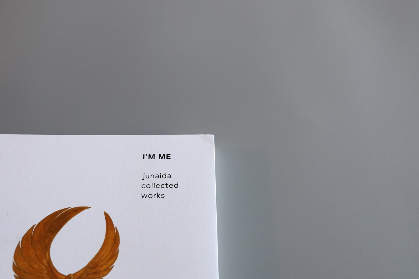 Book 『I’M ME junaida collected works』作品集