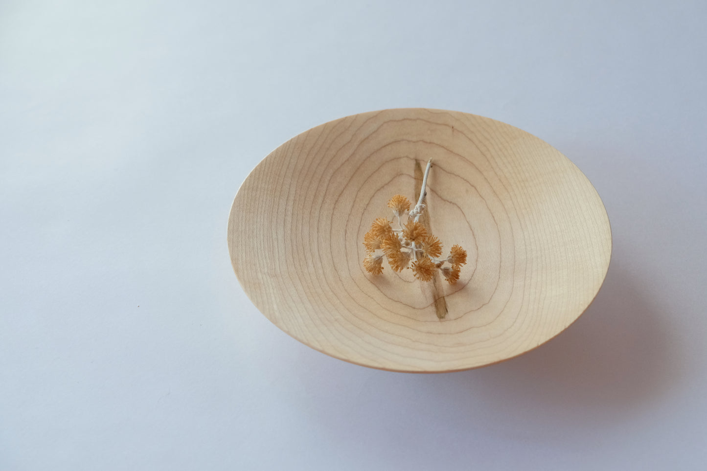 Plate Maple (Shipping incl.)