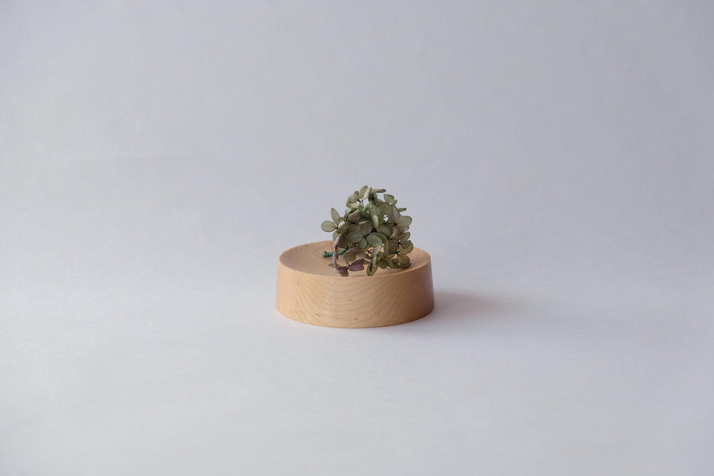 Bowl Maple (Shipping incl.)
