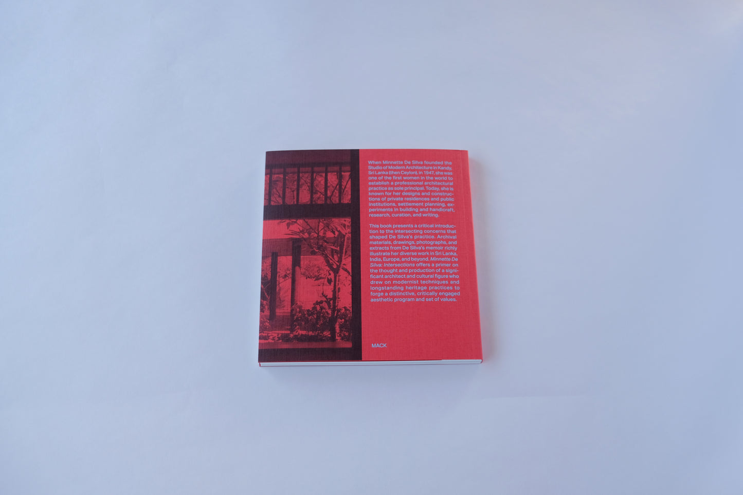 Art Book  『  MINNETTE DE SILVA: INTERSECTIONS by Anooradha Iyer Siddiqi  』